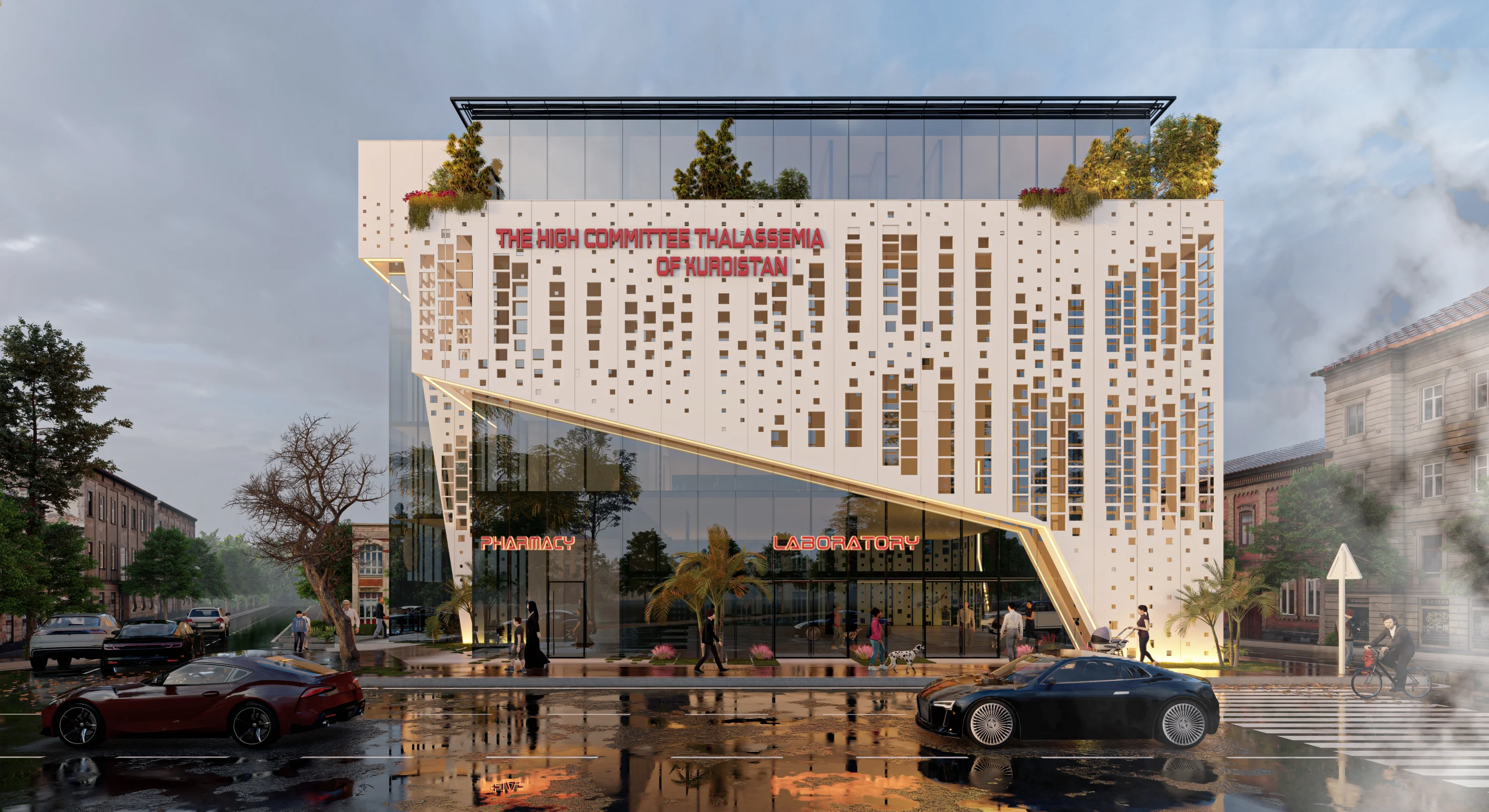Sulaymaniyah Thalassemia Society — image 9